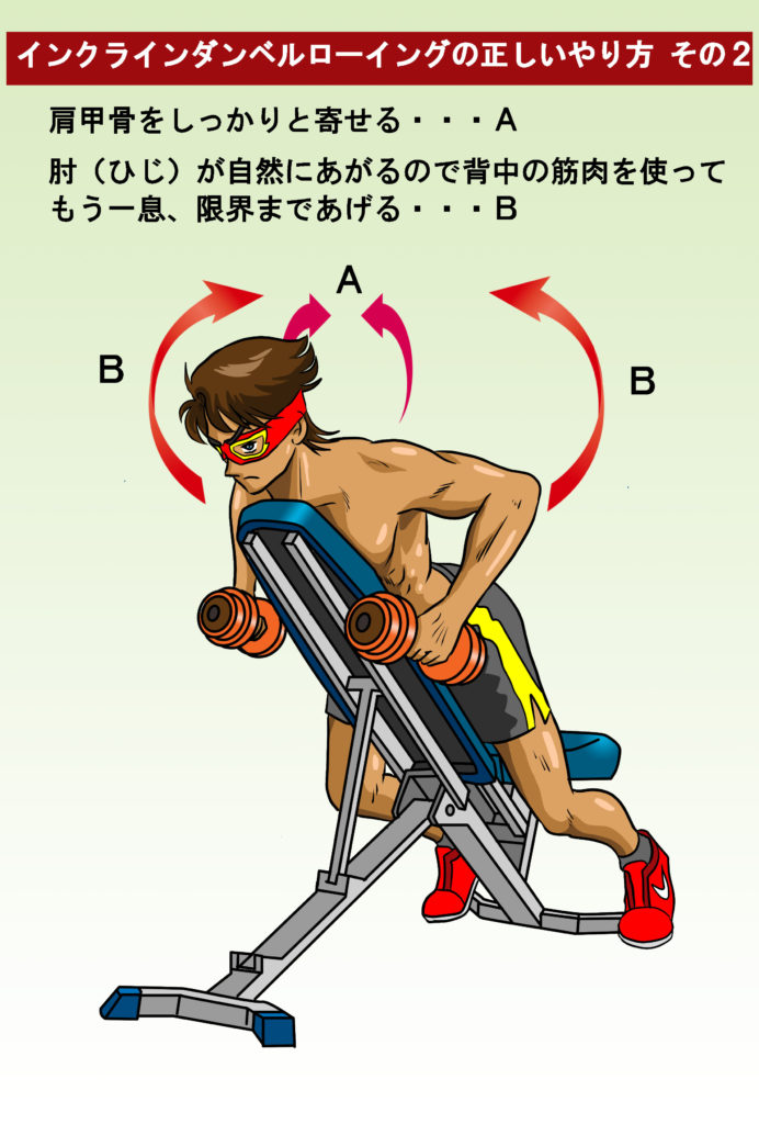 インクラインダンベルローイングの正しいやり方②